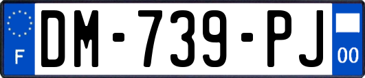 DM-739-PJ
