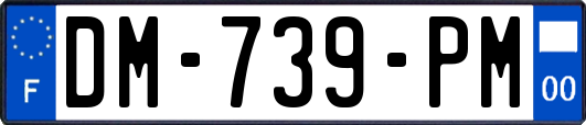 DM-739-PM