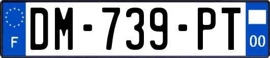 DM-739-PT