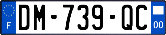 DM-739-QC