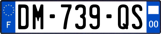 DM-739-QS