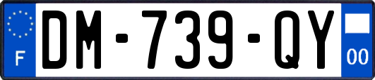 DM-739-QY