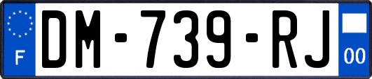 DM-739-RJ
