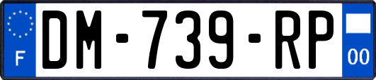 DM-739-RP