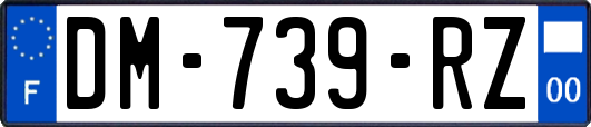 DM-739-RZ