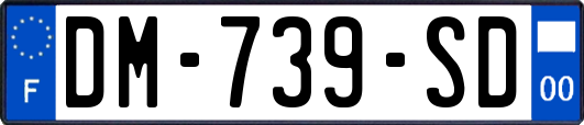 DM-739-SD