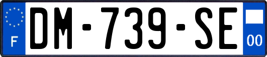 DM-739-SE