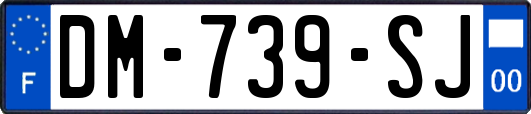 DM-739-SJ