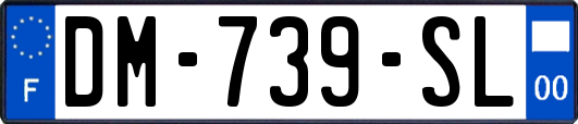 DM-739-SL