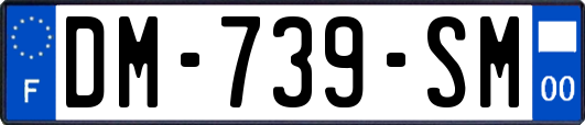 DM-739-SM