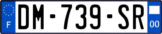 DM-739-SR