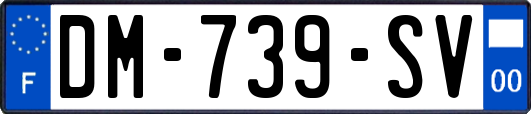 DM-739-SV