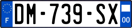 DM-739-SX