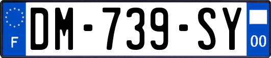 DM-739-SY