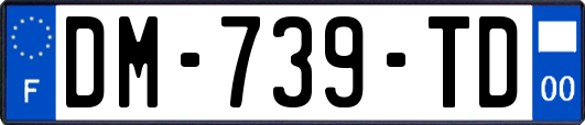DM-739-TD