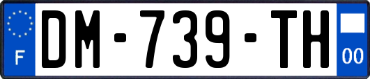 DM-739-TH