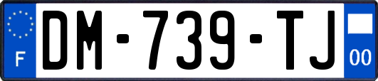 DM-739-TJ
