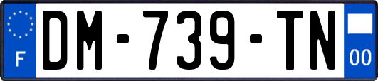 DM-739-TN