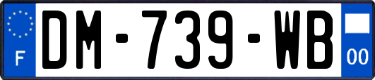 DM-739-WB