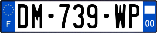 DM-739-WP