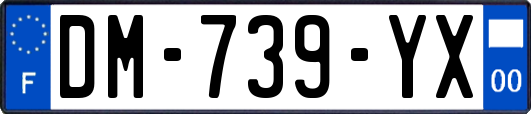 DM-739-YX