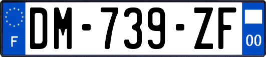 DM-739-ZF