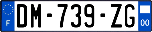 DM-739-ZG