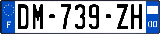 DM-739-ZH