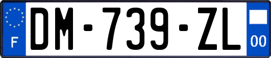 DM-739-ZL