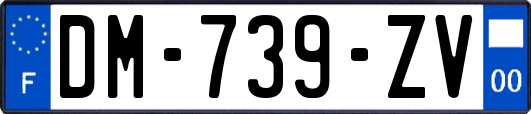 DM-739-ZV