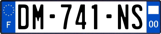 DM-741-NS
