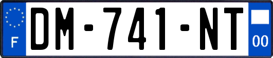 DM-741-NT