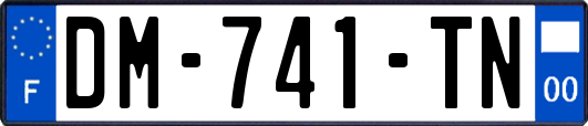 DM-741-TN