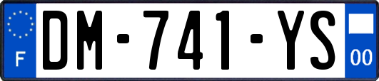 DM-741-YS