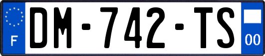 DM-742-TS
