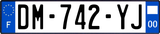 DM-742-YJ