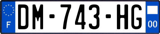 DM-743-HG