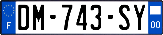 DM-743-SY