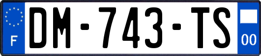 DM-743-TS