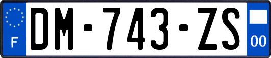 DM-743-ZS