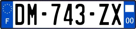 DM-743-ZX