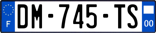 DM-745-TS