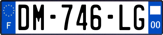 DM-746-LG