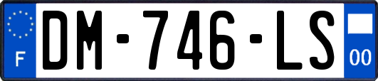 DM-746-LS