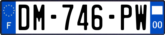 DM-746-PW