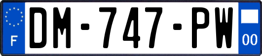 DM-747-PW