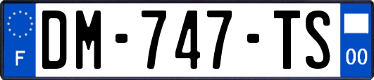 DM-747-TS