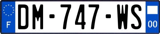 DM-747-WS