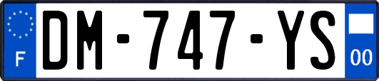 DM-747-YS