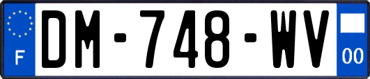 DM-748-WV